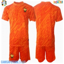 Camisa de time de futebol França Goleiro Replicas 2º Equipamento Infantil Europeu 2024 Manga Curta (+ Calças curtas)